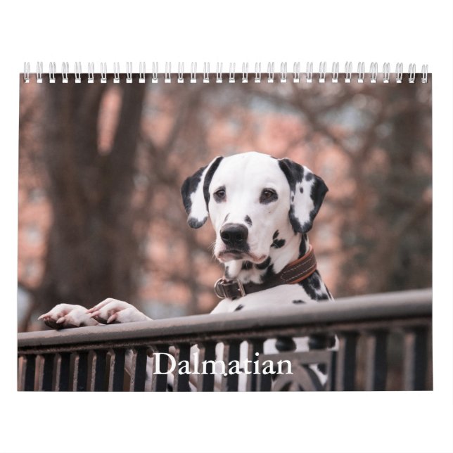 Calendario dálmata de perros (Tapa)