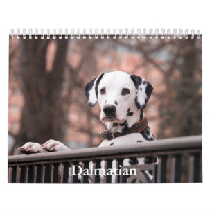 Calendario dálmata de perros