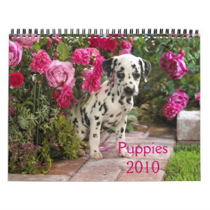 Calendario Dalmatian-Cubierta, Puppies2010