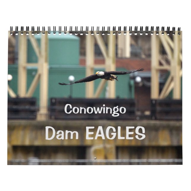 Calendario Dam Eagles (Tapa)