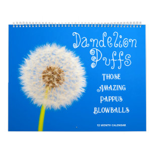 Calendario Dandelion Puffs: Esas increíbles pappus Blowball