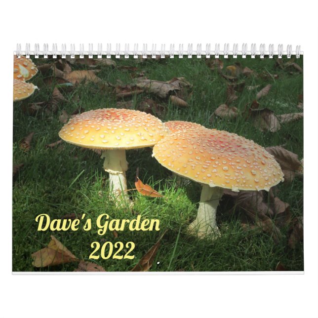 Calendario Dave's Garden 2022 Calendar (Tapa)