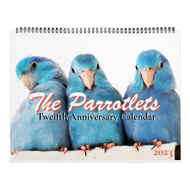 Calendario de 12 años de Parrotlets 2023 (Tapa)