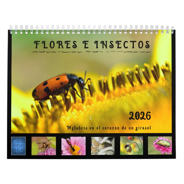 Calendario de 12 estados con varios insectos y flo (Tapa)