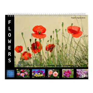 Calendario de 12 meses de diversas flores
