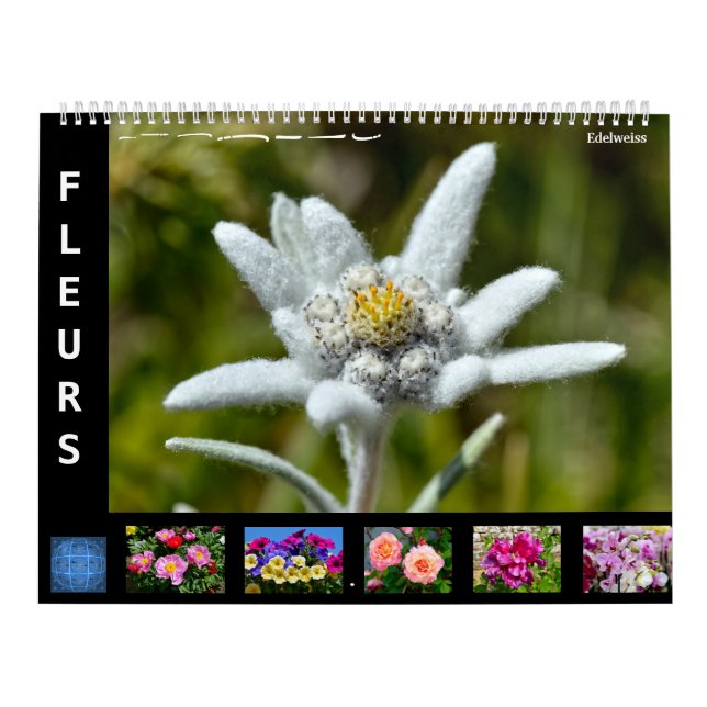 Calendario de 12 meses de diversas flores (Tapa)
