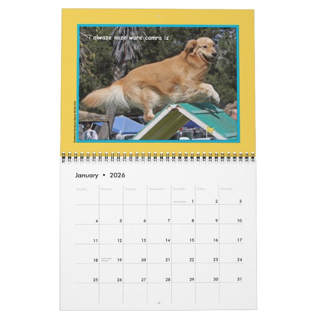 Calendario de 12 meses de Golden Retriever "Golden (Jan 2026)