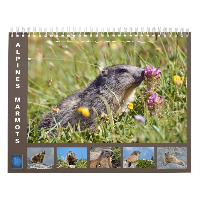 Calendario de 12 meses de las marmotas alpinas 202 (Tapa)