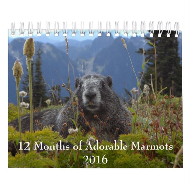 Calendario de 12 meses de Marmotas Adorables 2016 (Tapa)