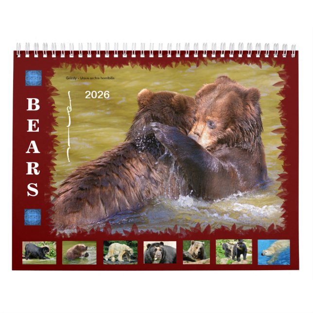 calendario de 12 meses diversos osos (Tapa)