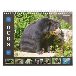 calendario de 12 meses diversos osos