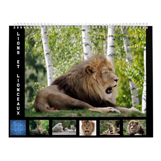 Calendario de 12 meses Familia de leones (Tapa)