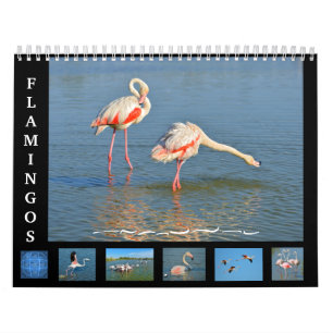Calendario de 12 meses Flamingos