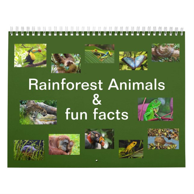 Calendario de 12 meses para animales de la selva t (Tapa)