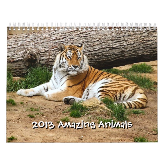 Calendario de 12 meses para animales salvajes 2013 (Tapa)