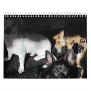 Calendario de 12 meses para perros de rescate pequ