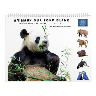 calendario de 12 meses varios animales aislados