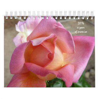 calendario de 12 pasos