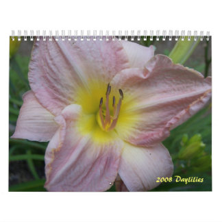 Calendario de 2008 Daylilies - modificado para