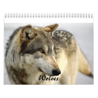 Calendario de 2009 lobos