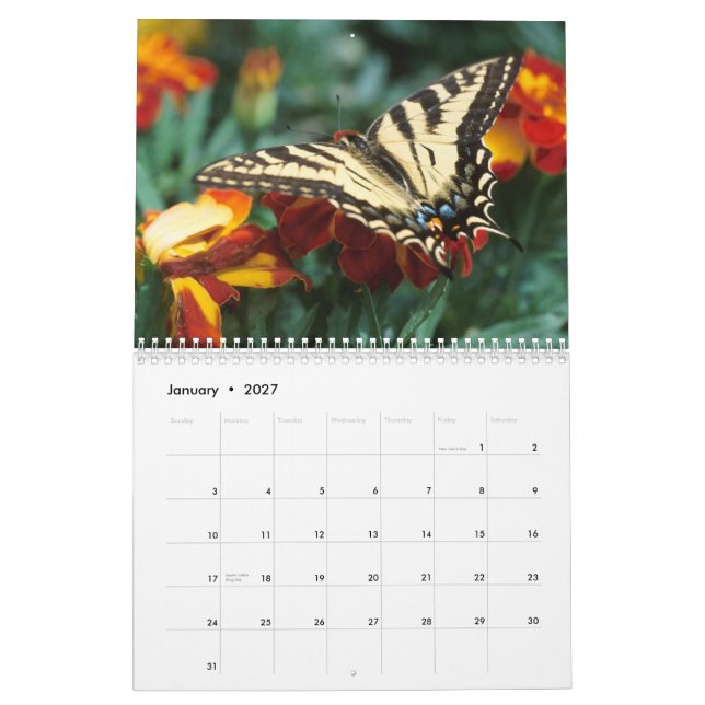 Calendario de 2009 mariposas (Jan 2027)