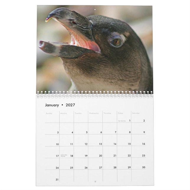 Calendario de 2011 animales creado por la galería (Jan 2027)