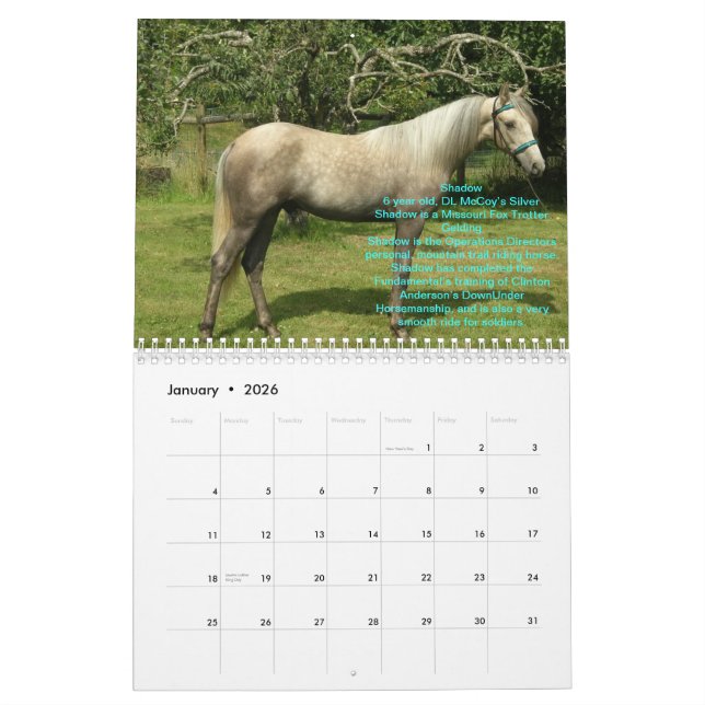 Calendario de 2012 caballos de RTR (Jan 2026)