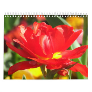 Calendario de 2012 flores