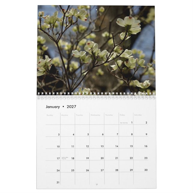 Calendario de 2012 flores (Jan 2027)
