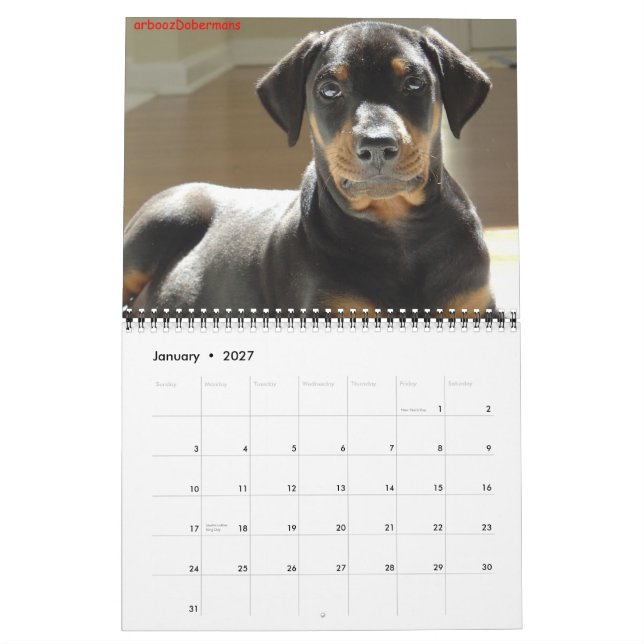 Calendario de 2013. (Jan 2027)