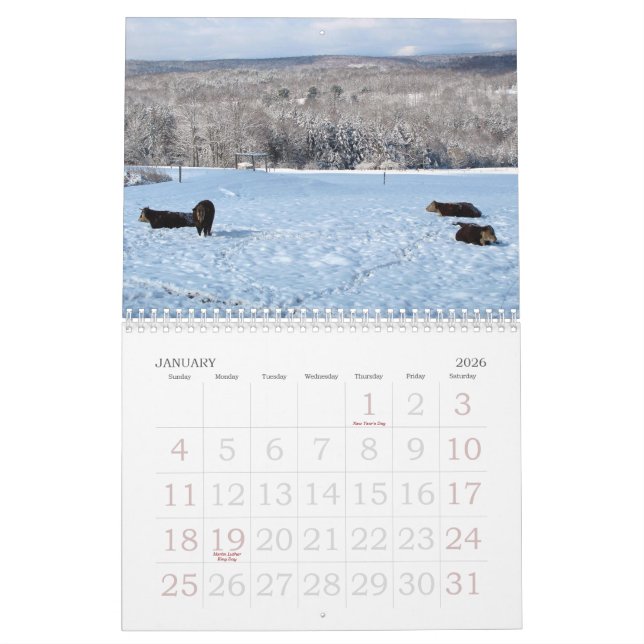 Calendario de 2013 vacas (Jan 2026)