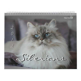 Calendario de 2014 de los siberianos gatos y de