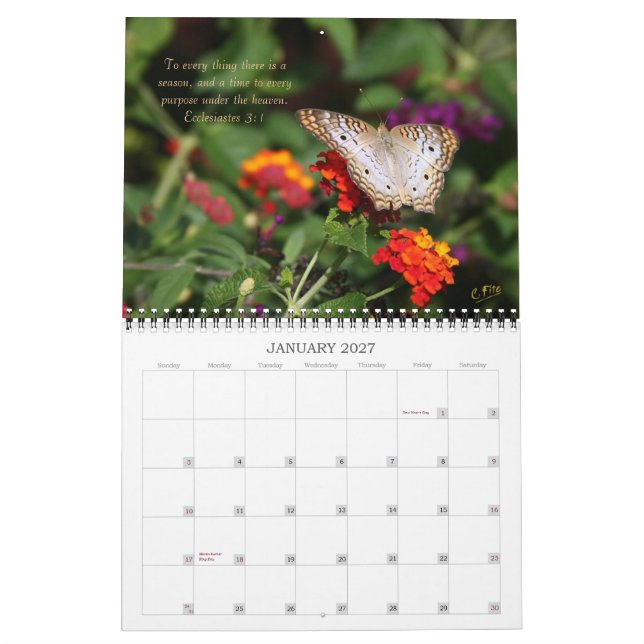 Calendario de 2014 inspiraciones - mariposas (Jan 2027)