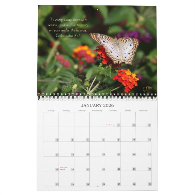 Calendario de 2014 inspiraciones - mariposas (Jan 2026)