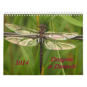 Calendario de 2014 libélulas y de los Damselflies