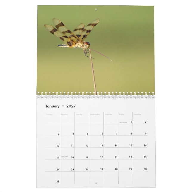 Calendario de 2014 libélulas y de los Damselflies (Jan 2027)