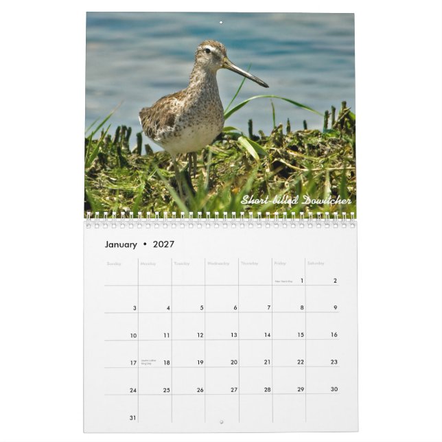 Calendario de 2015 aves costeras (Jan 2027)