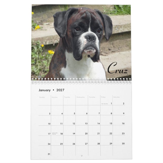 Calendario de 2015 boxeadores de la demostración (Jan 2027)