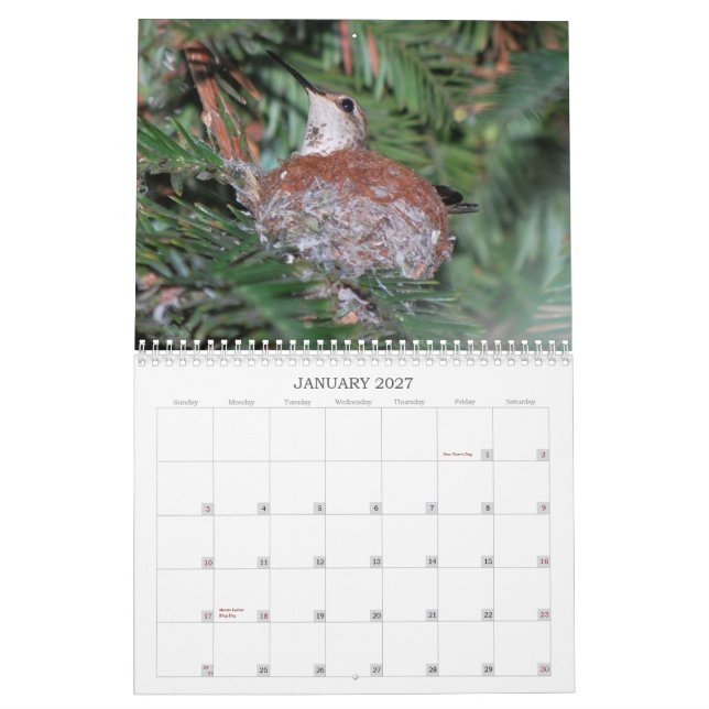 Calendario de 2015 colibríes (Jan 2027)