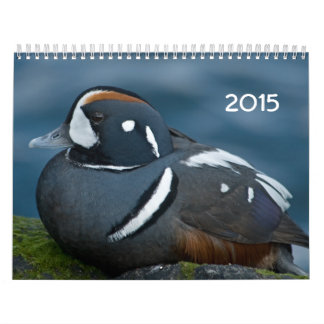 Calendario de 2015 patos