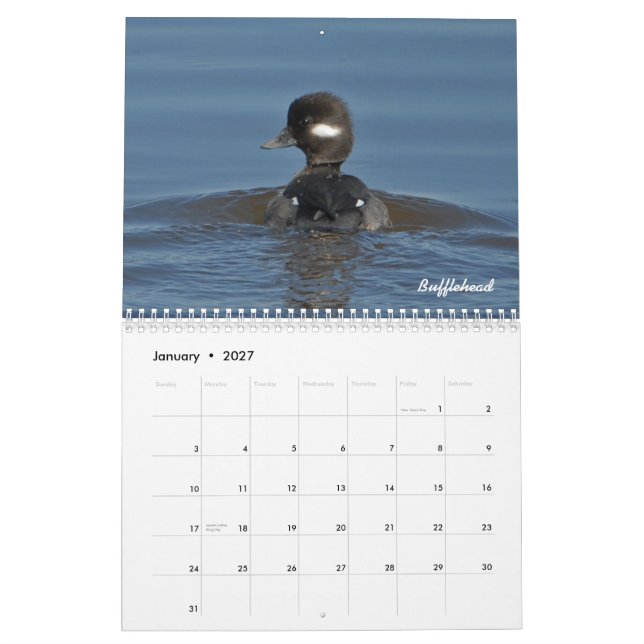Calendario de 2015 patos (Jan 2027)