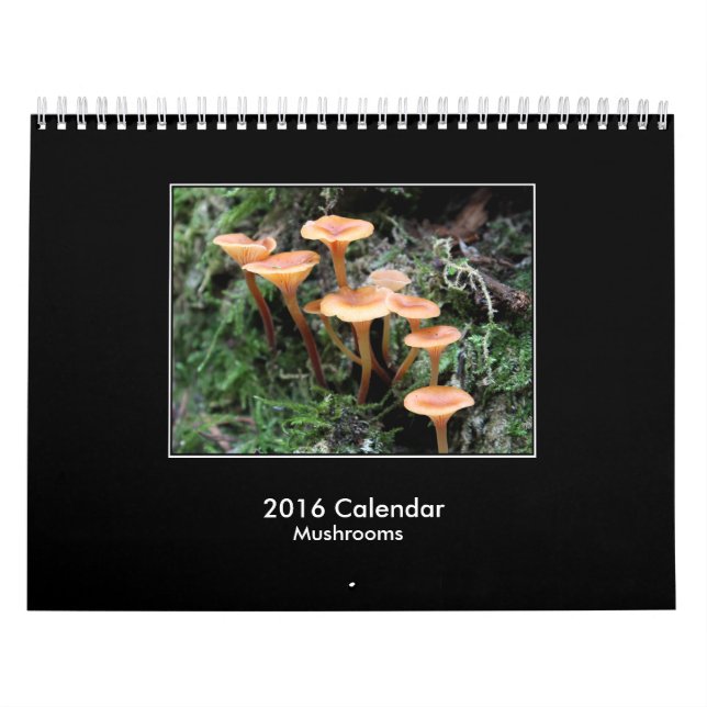 Calendario de 2016 setas (Tapa)