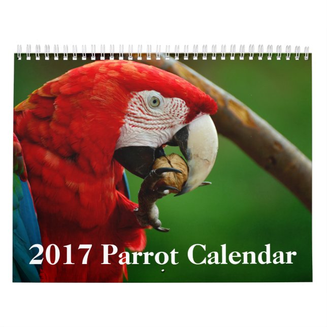Calendario de 2017 loros (Tapa)