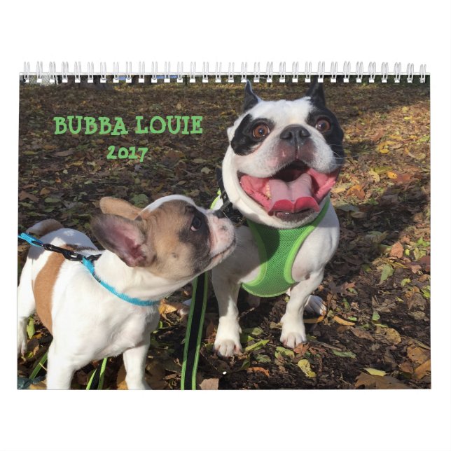CALENDARIO DE 2017 LOUIE DE BUBBA (Tapa)