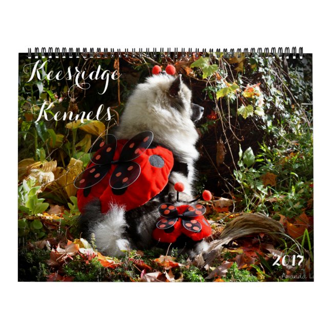 CALENDARIO DE 2017 PERRERAS DE KEESRIDGE (Tapa)