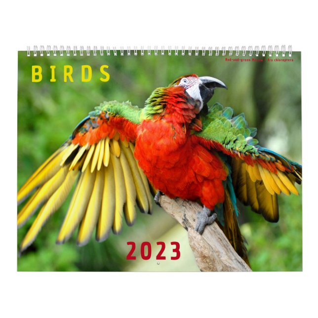 Calendario de 2023 de fotos de varias aves (Tapa)