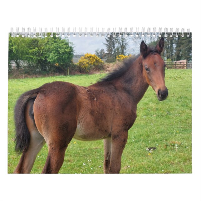 Calendario de 2023 Mares y Foales toscados (Tapa)
