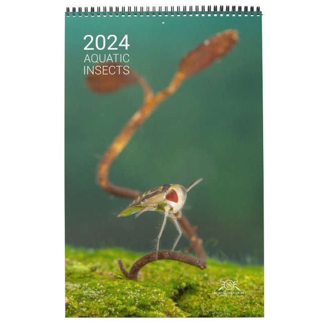 Calendario de 2024 - insectos acuáticos (Tapa)