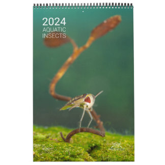Calendario de 2024 - insectos acuáticos