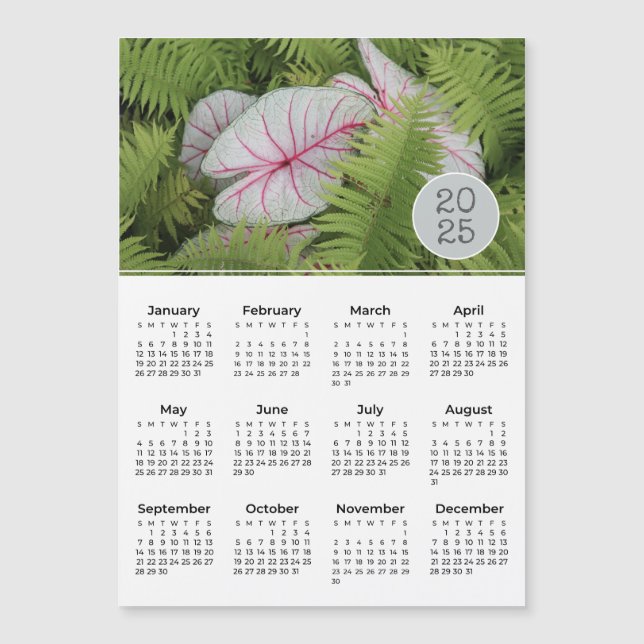 Calendario de 2025 Ferns & Caladium Photo Magnet (Anverso)